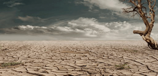 乾燥した肌イメージ