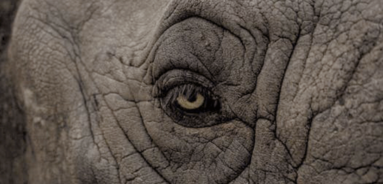 乾燥肌,しわのイメージ